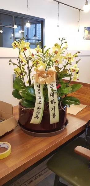 업로드 이미지