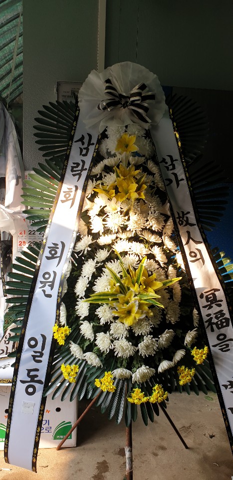 업로드 이미지