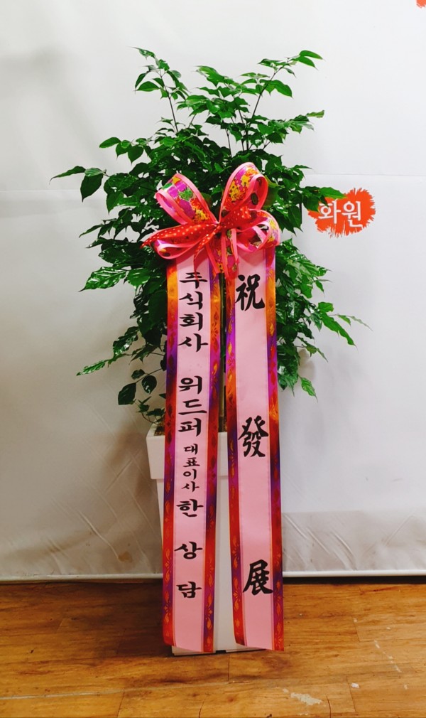 업로드 이미지