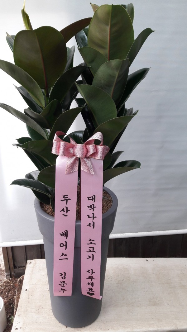 업로드 이미지