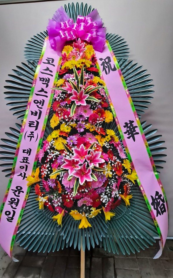 업로드 이미지
