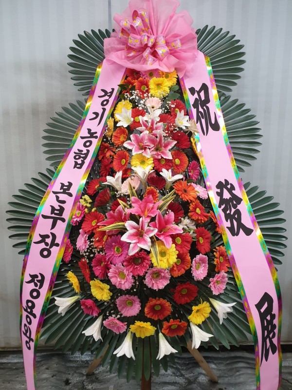업로드 이미지