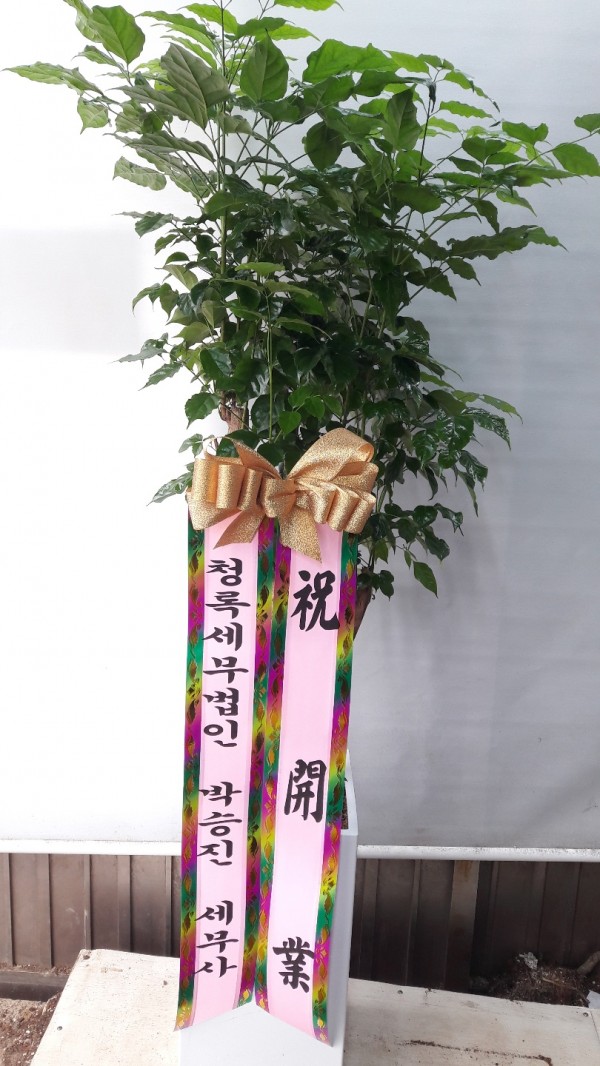 업로드 이미지
