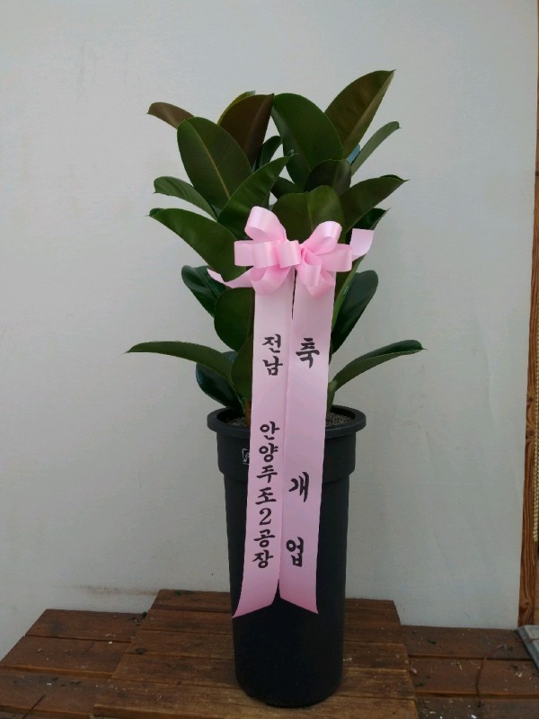 업로드 이미지