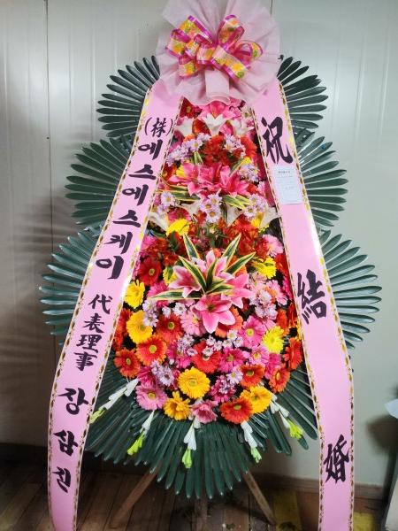 업로드 이미지
