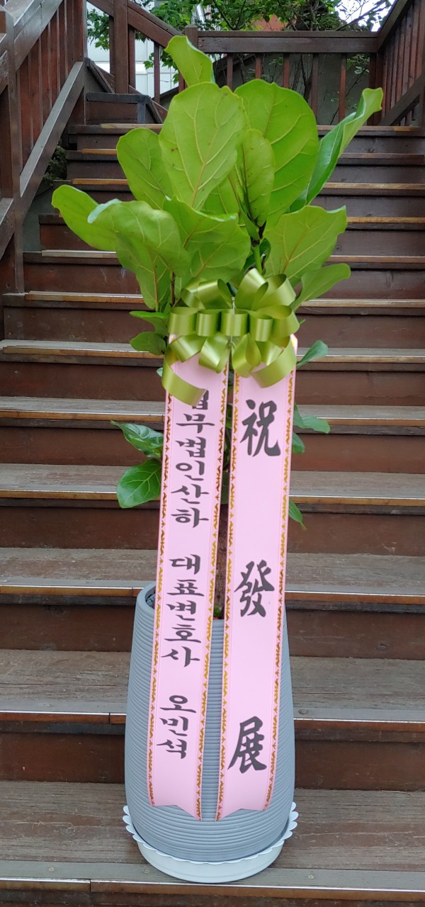 업로드 이미지