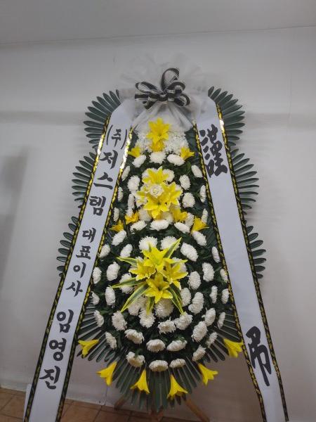 업로드 이미지