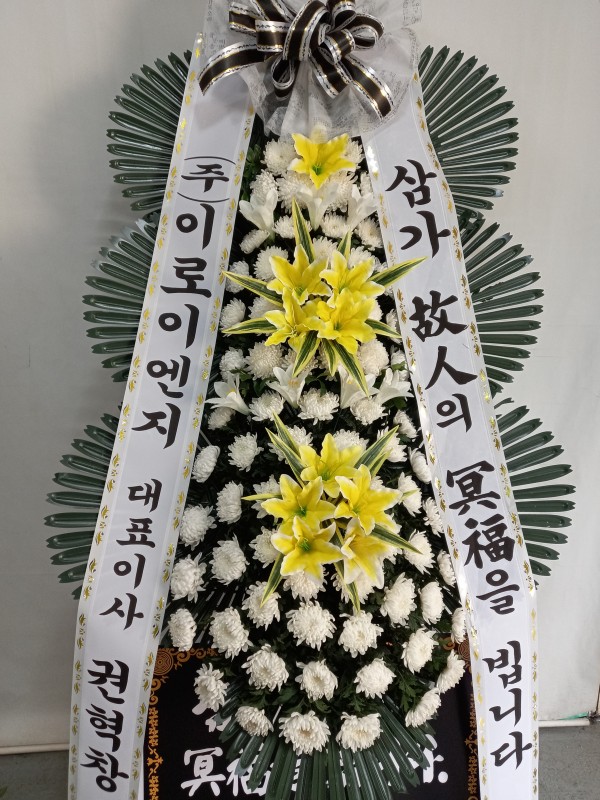 업로드 이미지