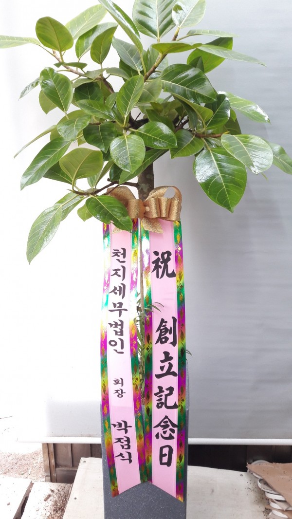 업로드 이미지