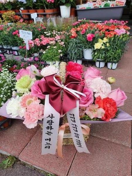 업로드 이미지
