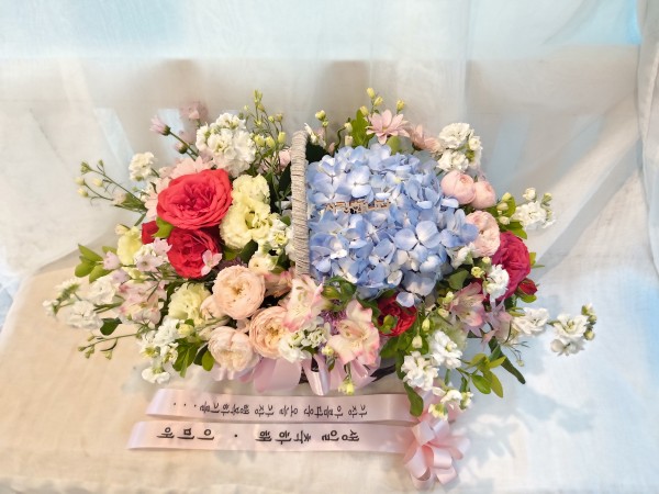업로드 이미지