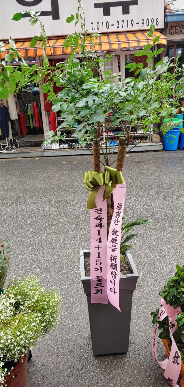 업로드 이미지