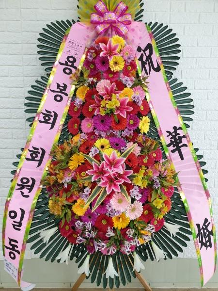 업로드 이미지