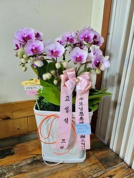 업로드 이미지