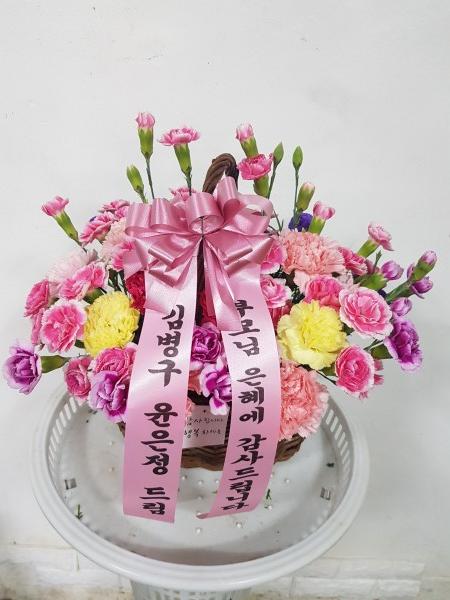 업로드 이미지