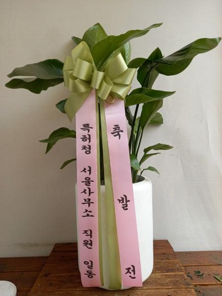 업로드 이미지