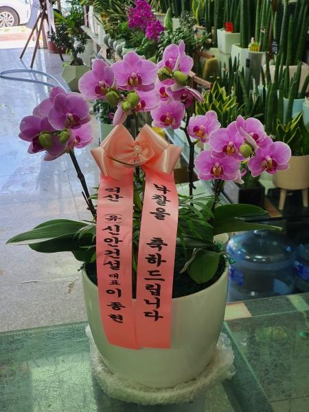 업로드 이미지