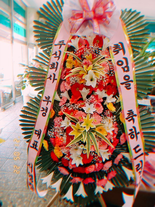 업로드 이미지