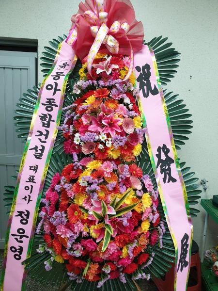 업로드 이미지