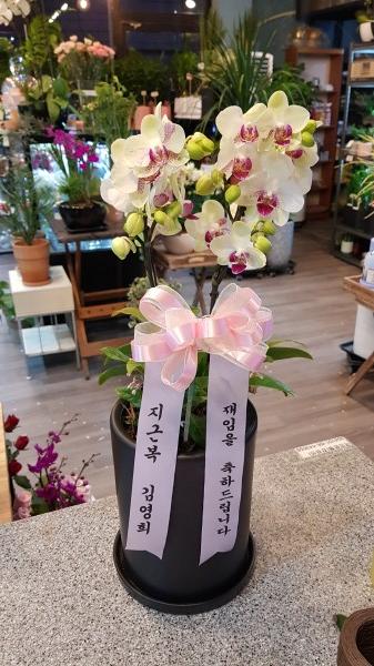 업로드 이미지