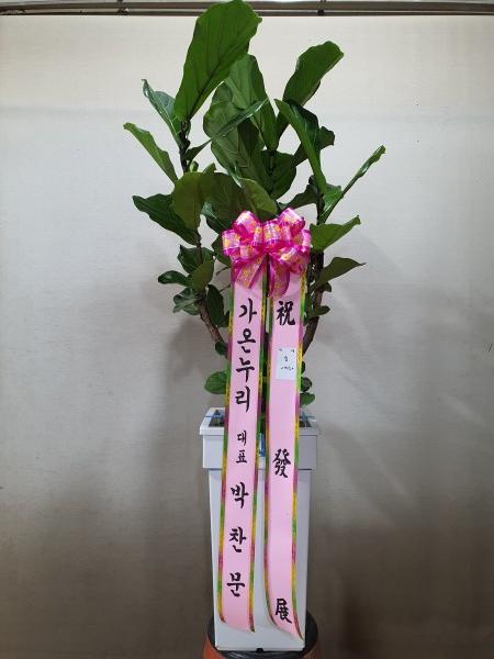 업로드 이미지