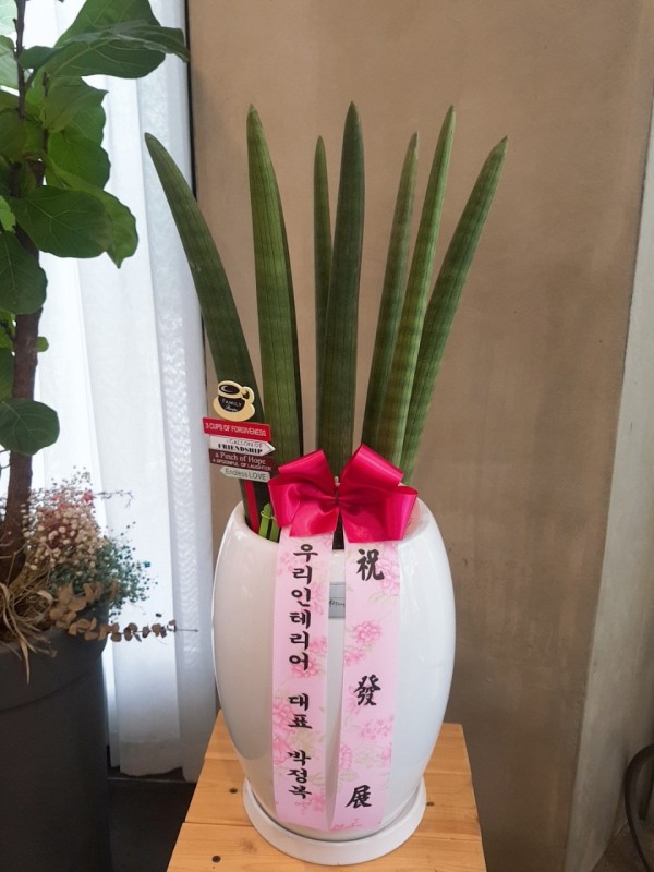업로드 이미지