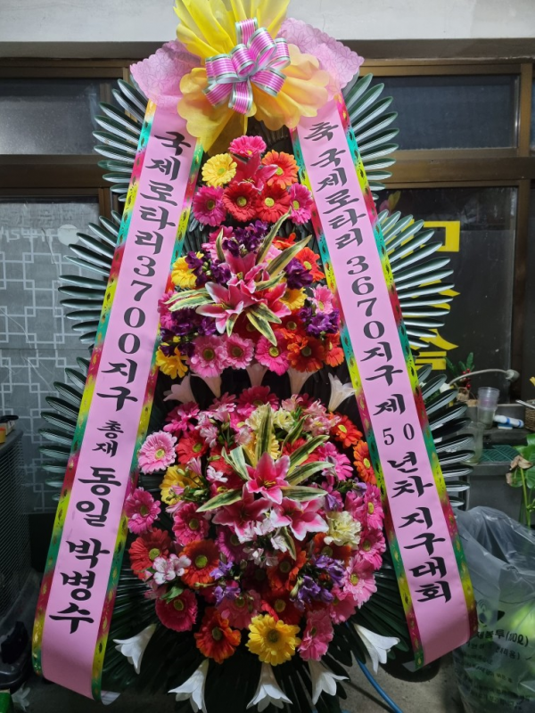 업로드 이미지