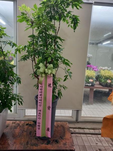 업로드 이미지