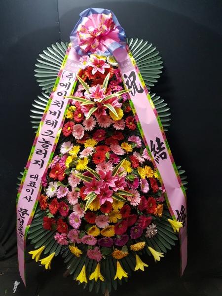 업로드 이미지
