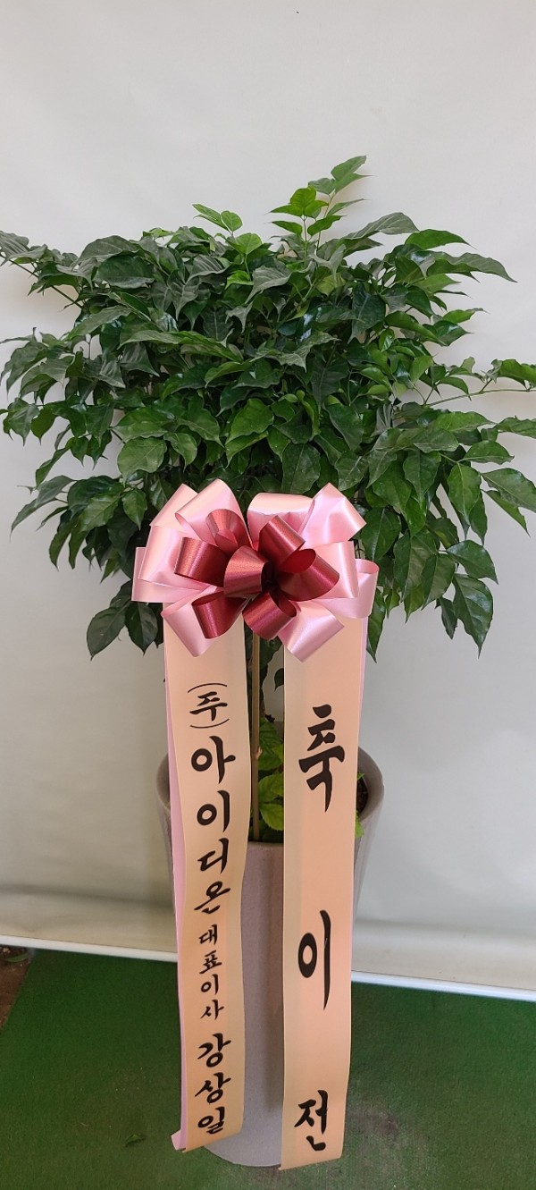 업로드 이미지