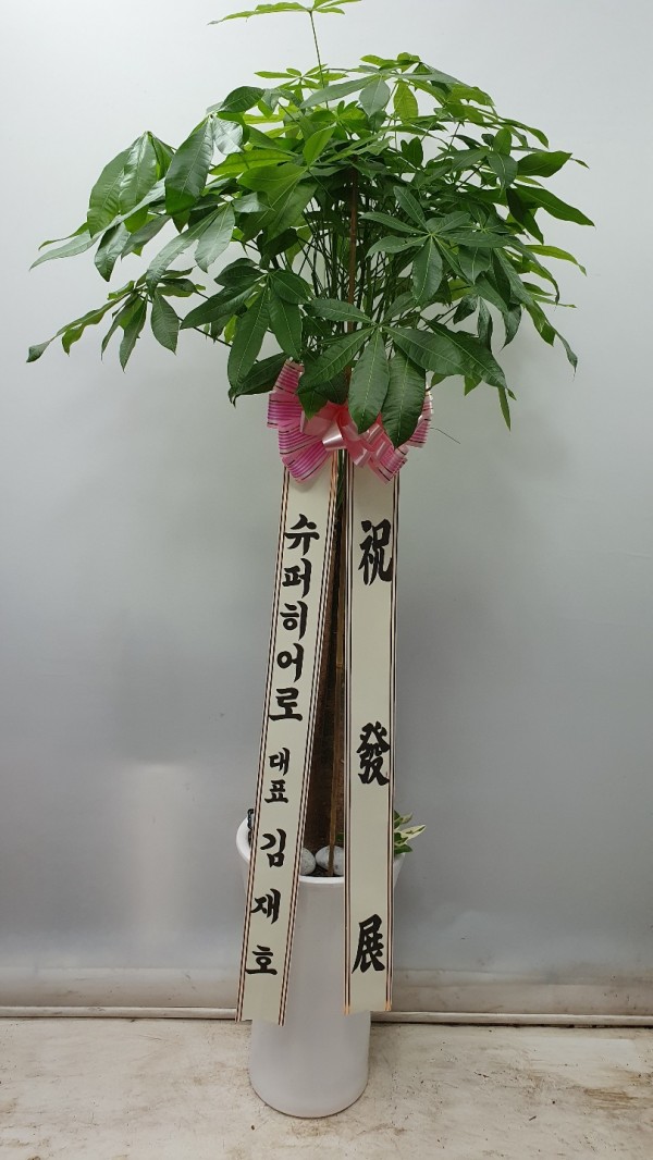 업로드 이미지