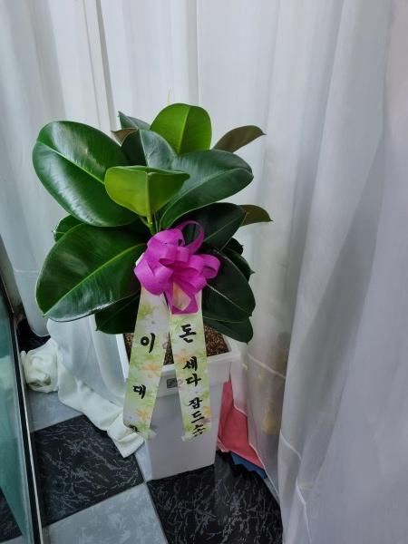 업로드 이미지