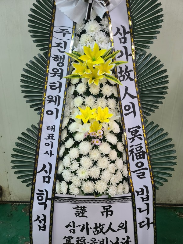 업로드 이미지