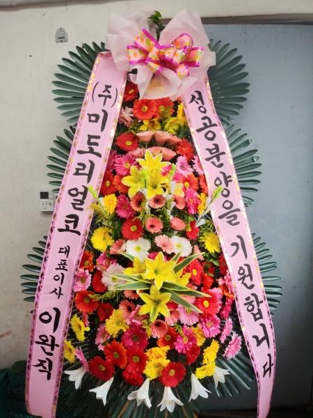 업로드 이미지
