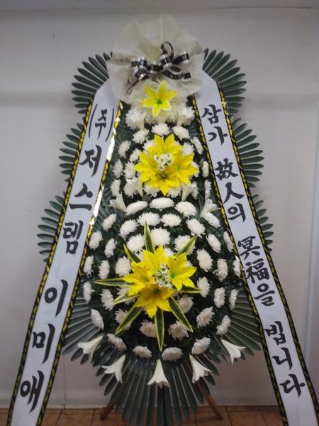 업로드 이미지