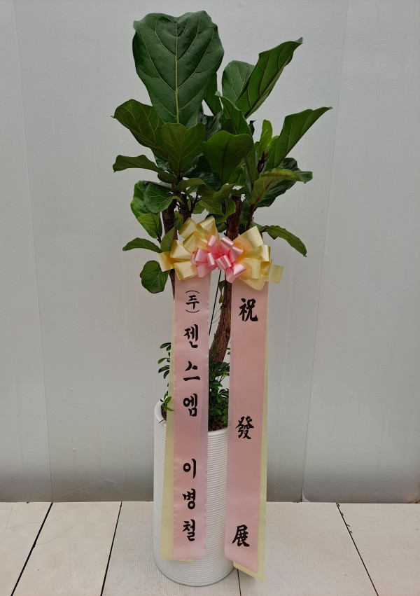 업로드 이미지