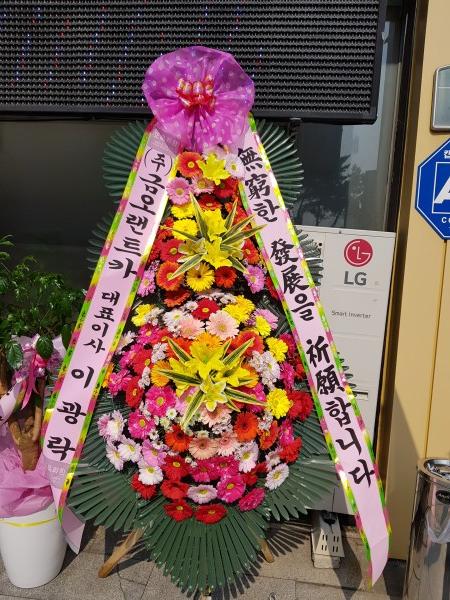 업로드 이미지