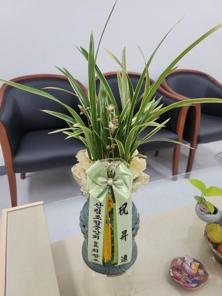 업로드 이미지