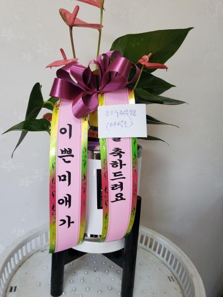 업로드 이미지