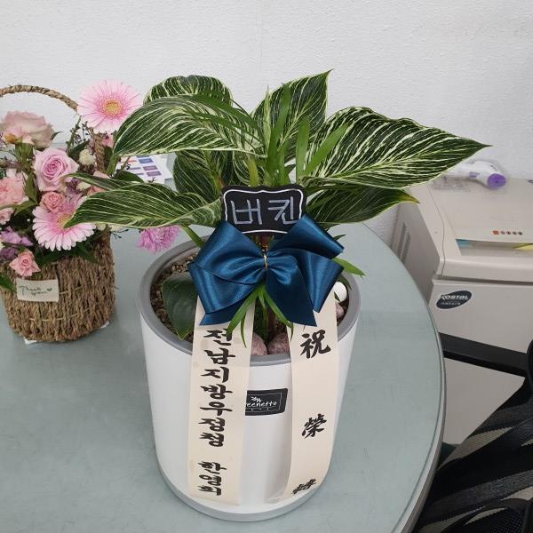 업로드 이미지
