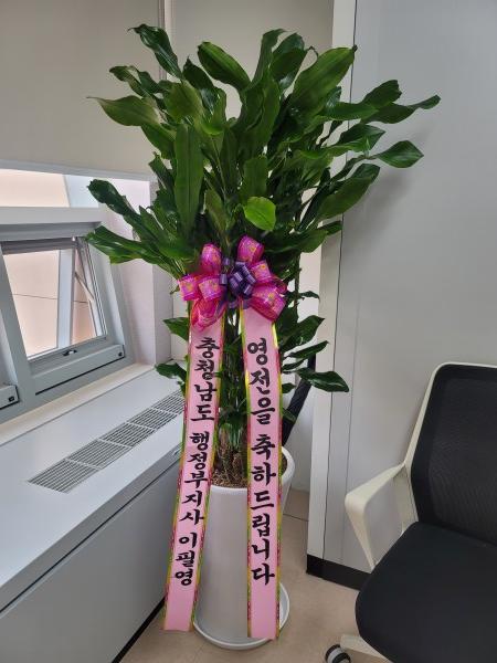 업로드 이미지