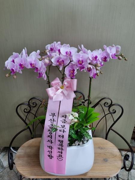 업로드 이미지