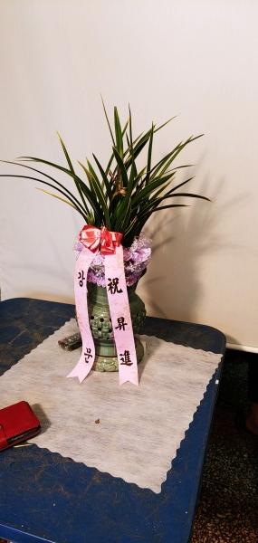 업로드 이미지