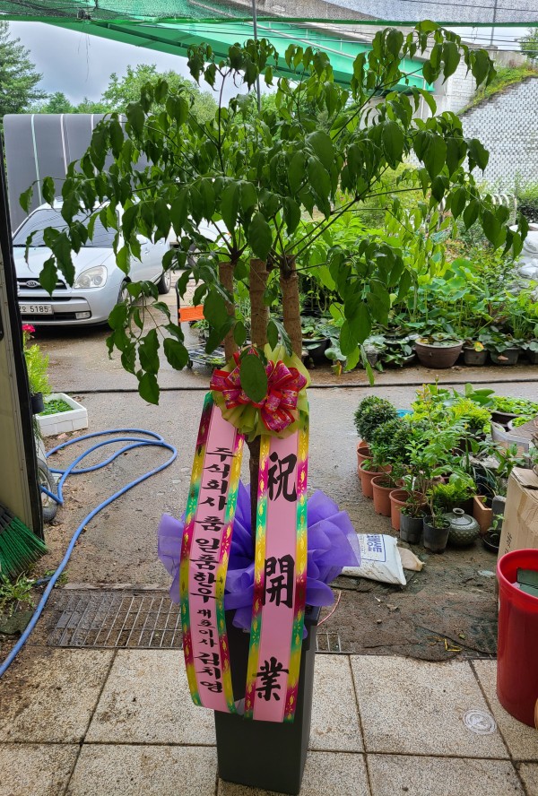 업로드 이미지