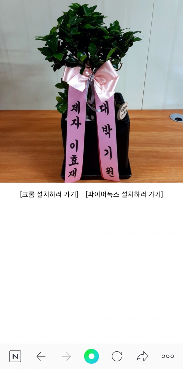 업로드 이미지