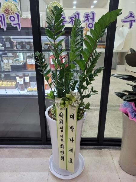 업로드 이미지