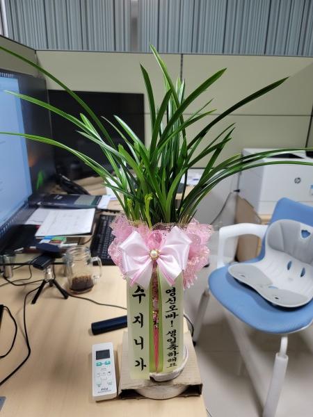 업로드 이미지