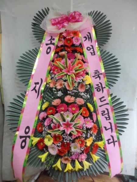 업로드 이미지