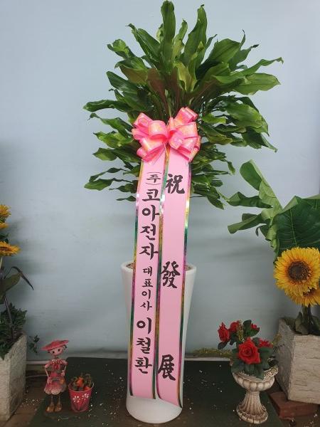 업로드 이미지