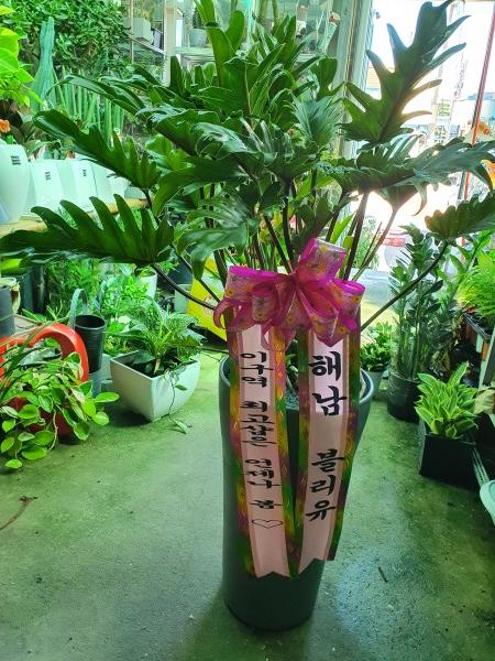 업로드 이미지